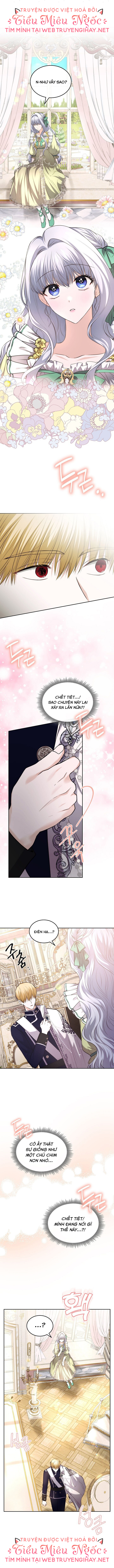 vị hôn thê giả của thái tử chapter 24 8