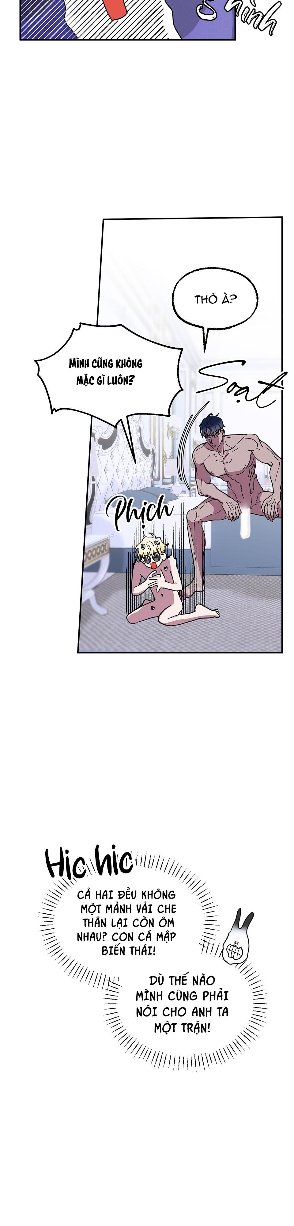 cá mập và cô dâu thỏ chapter 4 8