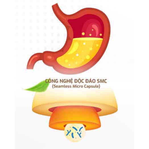 Nattokinase Jintan Nhật Bản chống đột quỵ, tai biến, mỡ máu