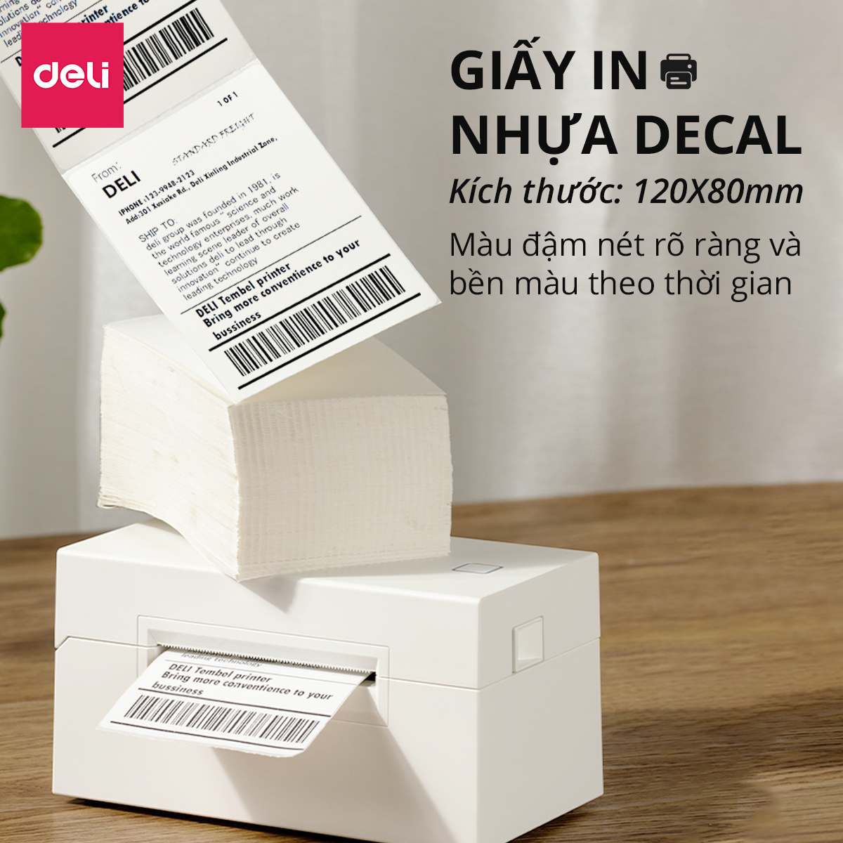 Giấy Decal Nhiệt In Nhãn Minicode Đơn Hàng TMĐT Deli - Tệp 500 Tờ 12x8cm - Dùng Cho Bill, Mã Vạch, Hóa Đơn, Livestream, Kinh Doanh Online - Không Phai Mực - Hàng Chính Hãng - CP001