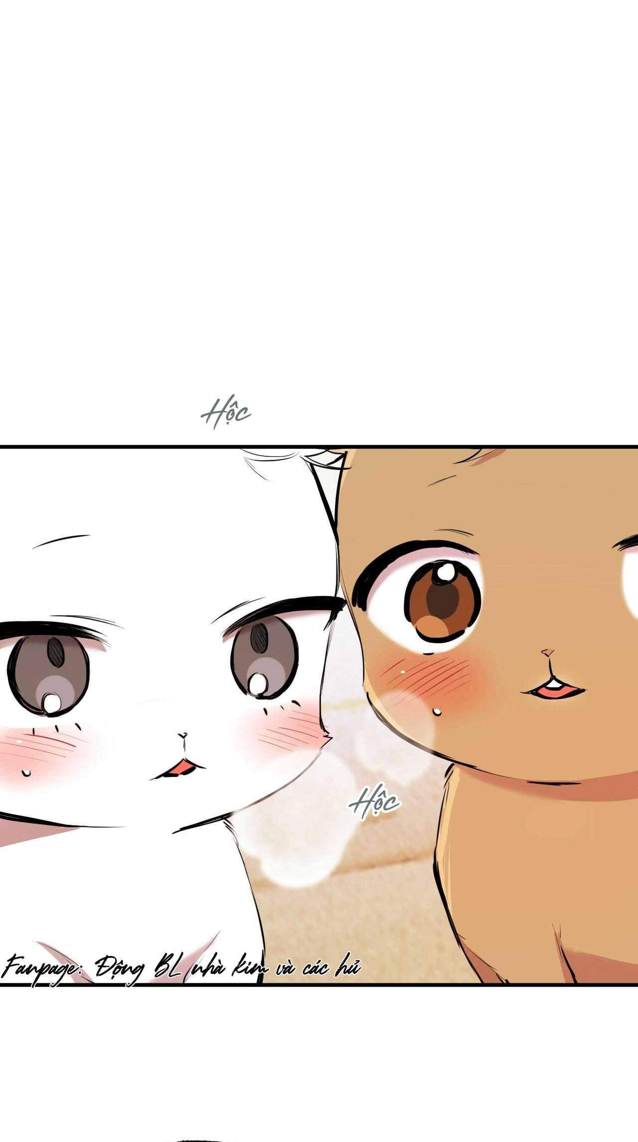 những chú thỏ của hapypy chapter 29 56