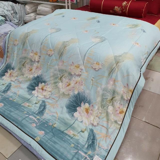 CHĂN HÈ COTTON LỤA THOÁNG MỊN
