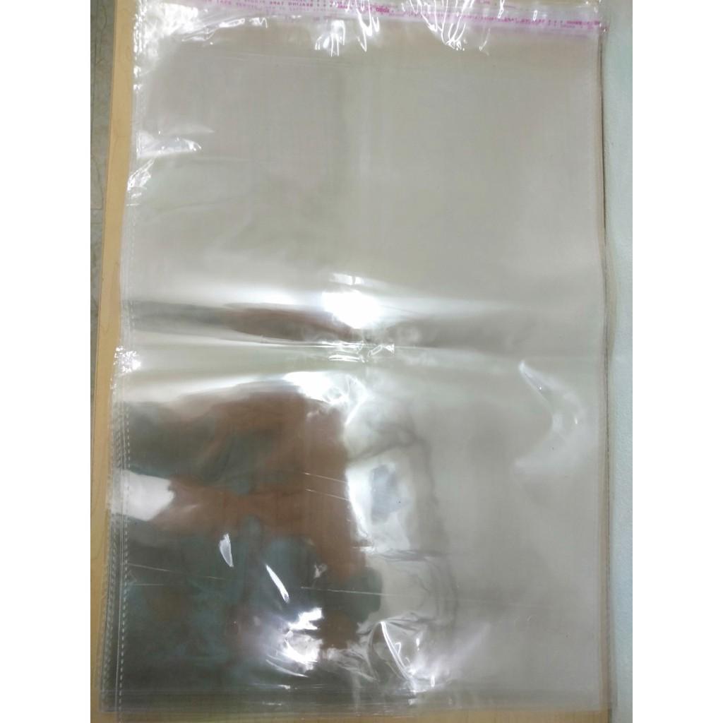 Túi bóng kính dán miệng OPP 25x33+4 cm (100g)