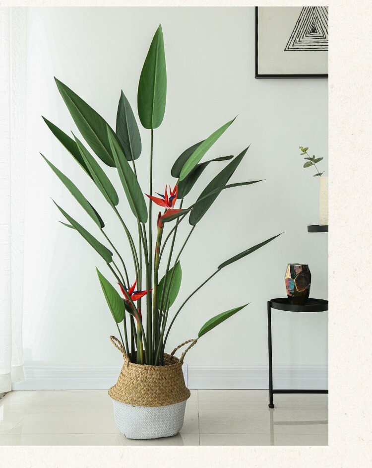 Cây thiên điểu lá nhọn giả - Size từ 120cm, 160cm, 180cm - Cây giả, hoa lụa Decor trang trí nhà cửa