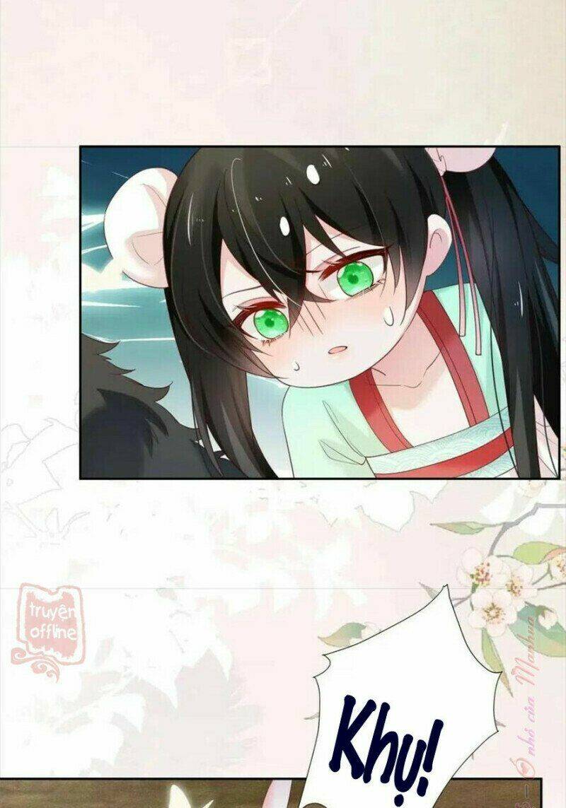 hắc hóa nam chính trực tuyến nuôi thỏ chapter 54 20