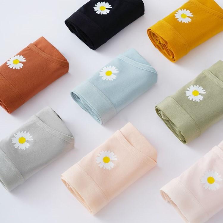 Quần lót cotton hoa cúc, quần lót nữ thấm hút mồ hôi mùa hè QC/092