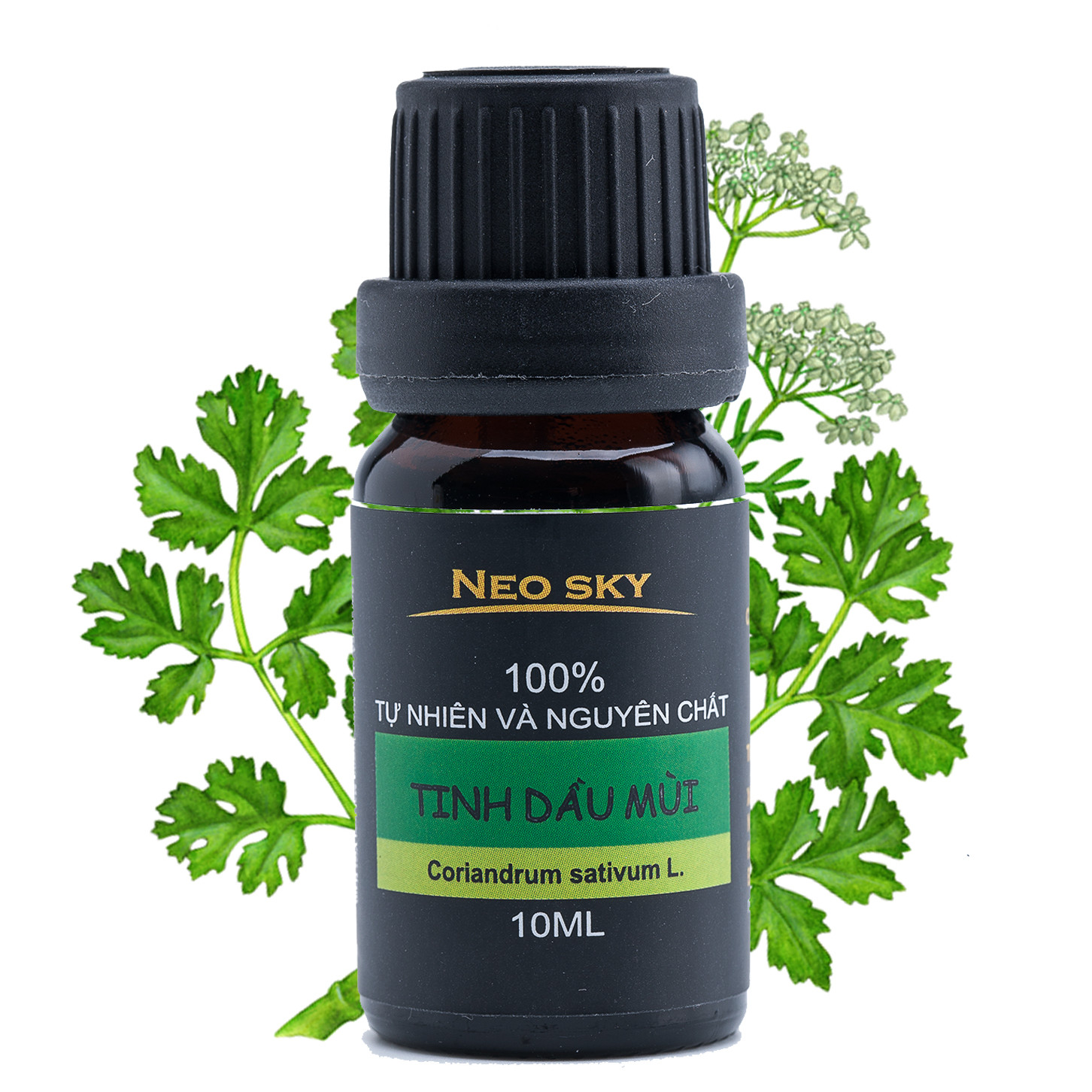 Tinh dầu Mùi già (Coriander) NeoSky- Giúp Kháng Khuẩn, Khử Mùi, Tăng Ham Muốn, Thư Giãn, Giảm Stress