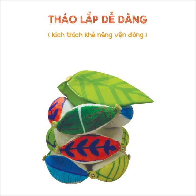 BÓNG MÚI PHÁT TRIỂN ĐA GIÁC QUAN - LEAF