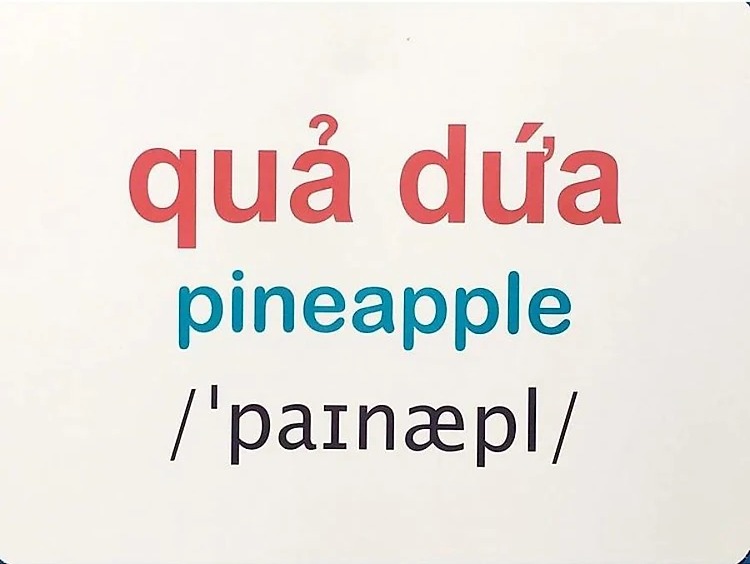 Flashcard Thế Giới Quanh Em: Màu Sắc Và Hình Khối - Colors & Shapes