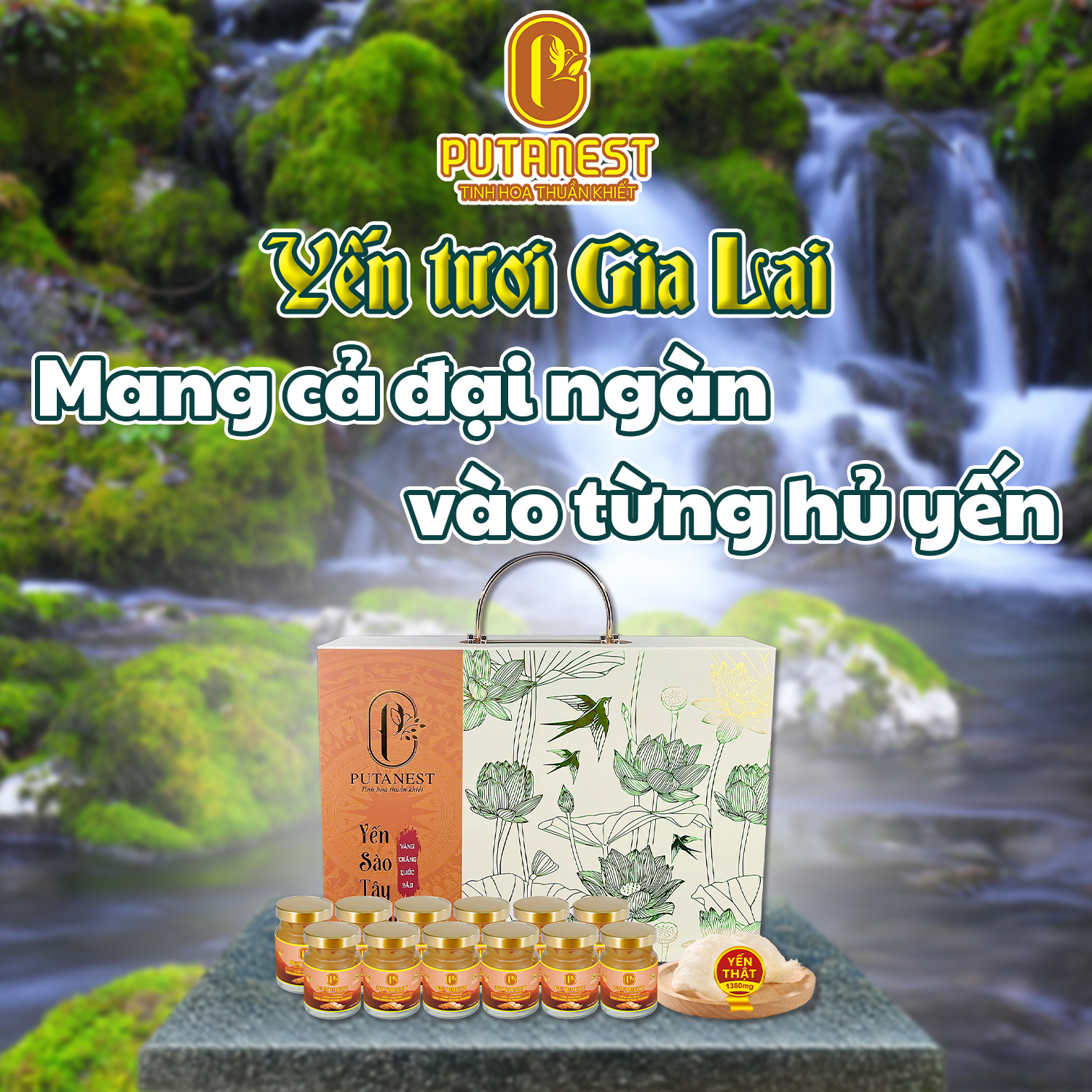Yến chưng Đông trùng hạ thảo PUTANEST hộp quà tặng cao cấp 12 hũ 70ml đẹp da tăng sức đề kháng