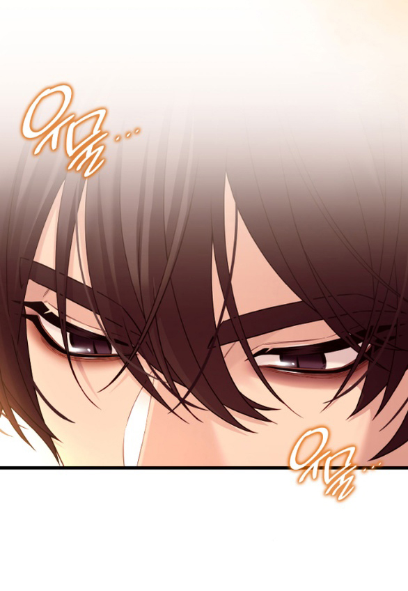 Tôi Sẽ Biến Anh Ta Từ Một Con Chó Điên Thành Một Chàng Quý Tộc chapter 27.1 33