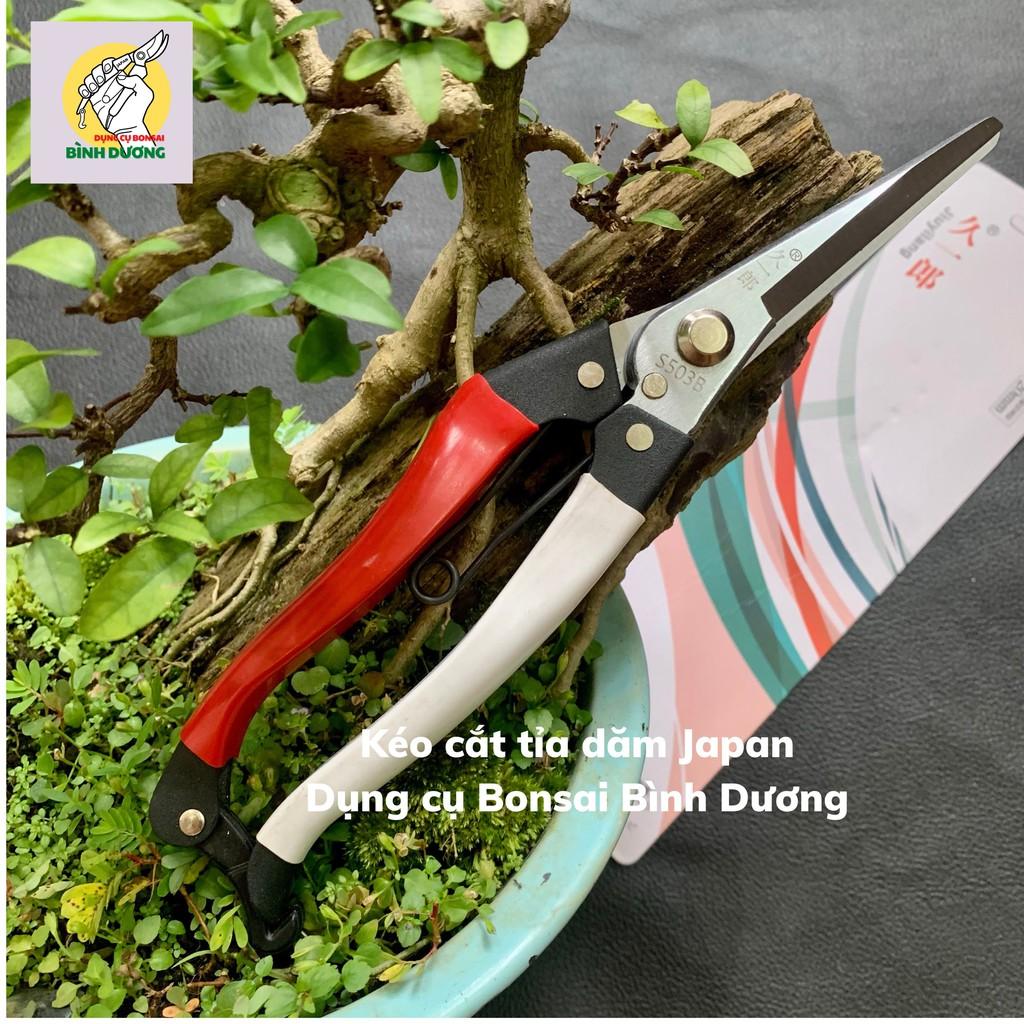 COMBO 2 KÉO CẮT TỈA JAPAN - SK5 CẮT TỈA CÂY CẢNH BONSAI