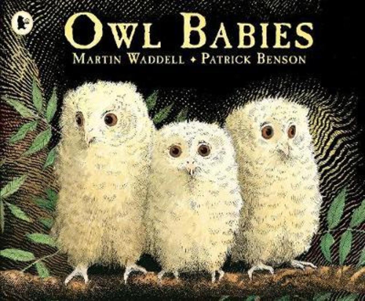 Sách - Owl Babies by Martin Waddell