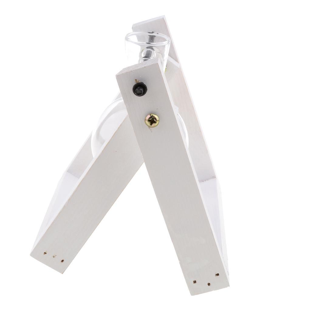 Vintage Glass Tabletop Hydroponic Flower Vase