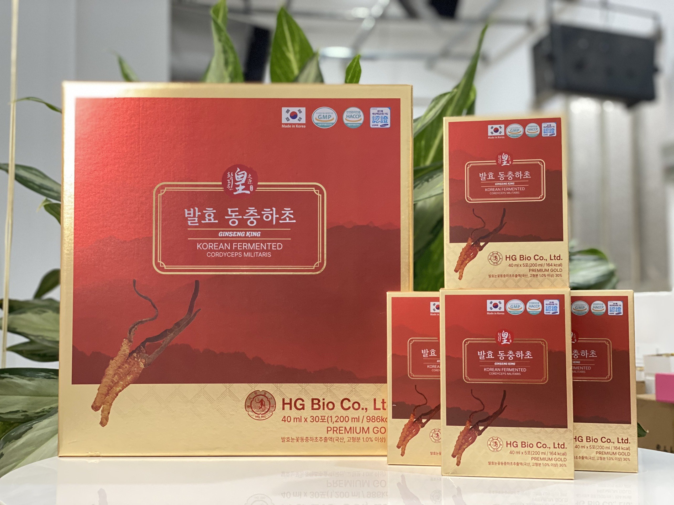 Hộp tinh chất đông trùng hạ thảo Hàn Quốc korean fermented hg bio co