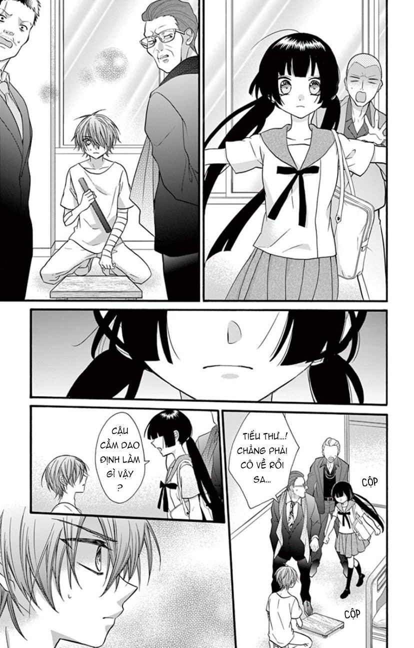 chàng rể giả nhân giả nghĩa chapter 20 10