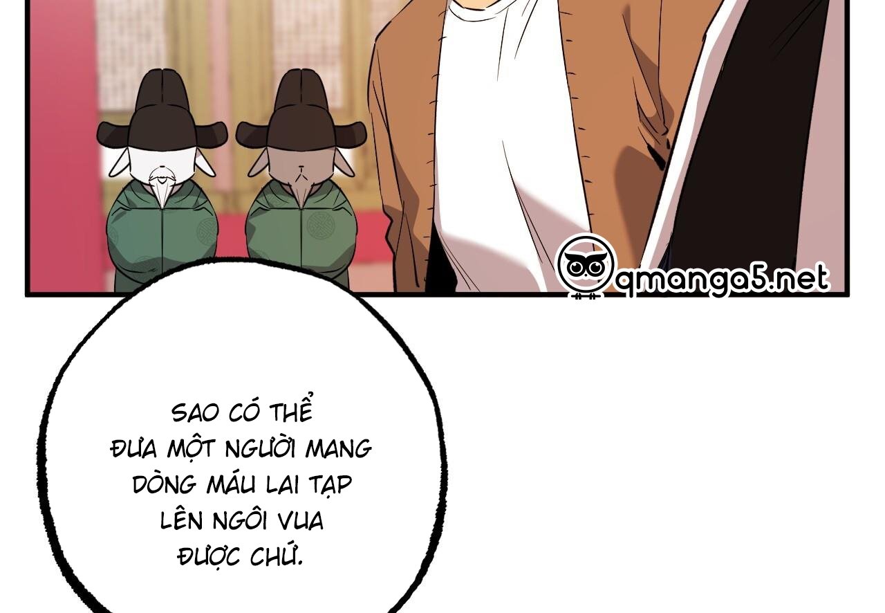 những chú thỏ của hapypy chapter 62 159