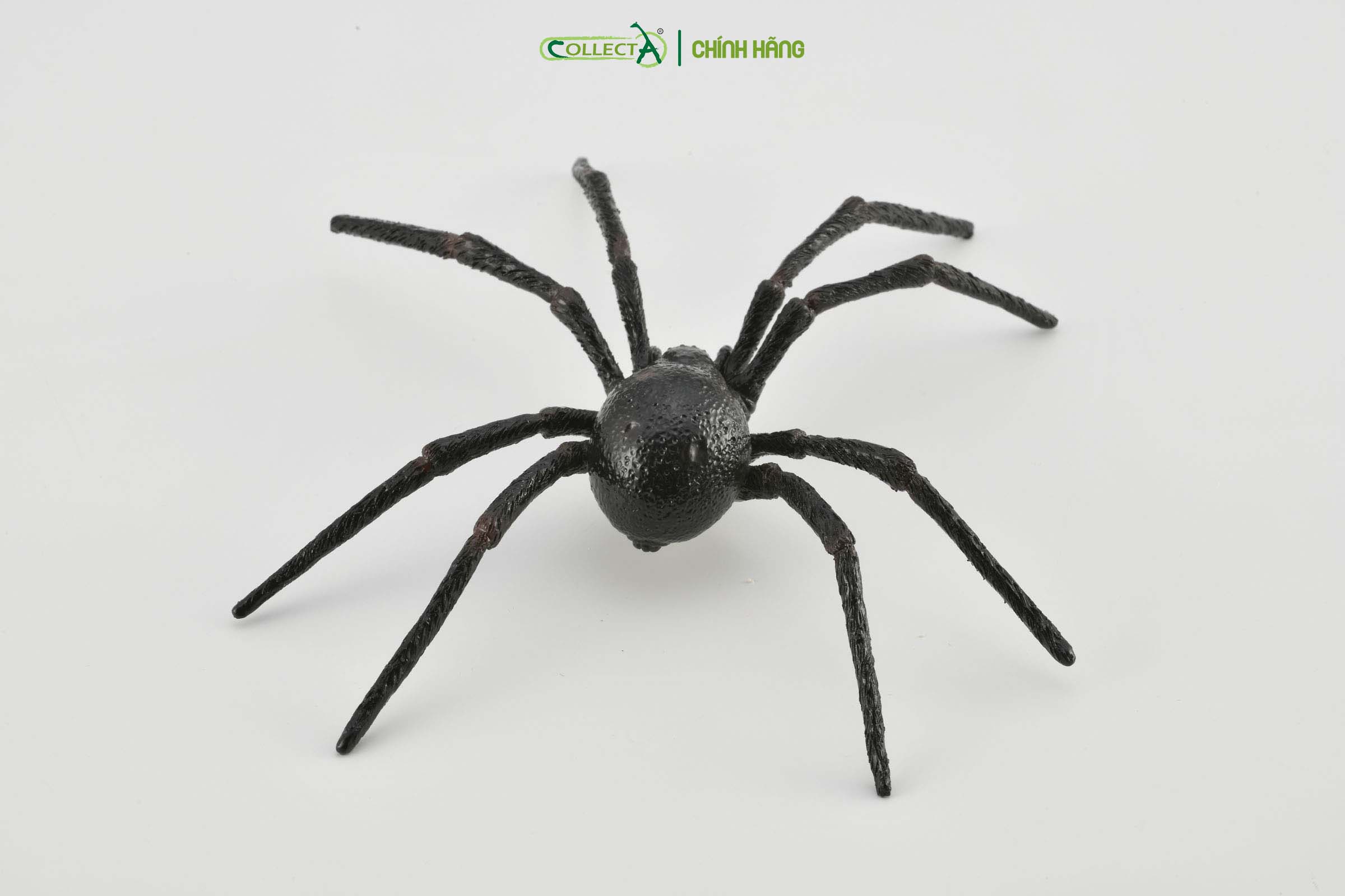 Mô hình thu nhỏ: Nhện Goá Phụ Đen - Black Widow Spider, hiệu: CollectA, mã HS 9653010[88884] -  Chất liệu an toàn cho trẻ - Hàng chính hãng