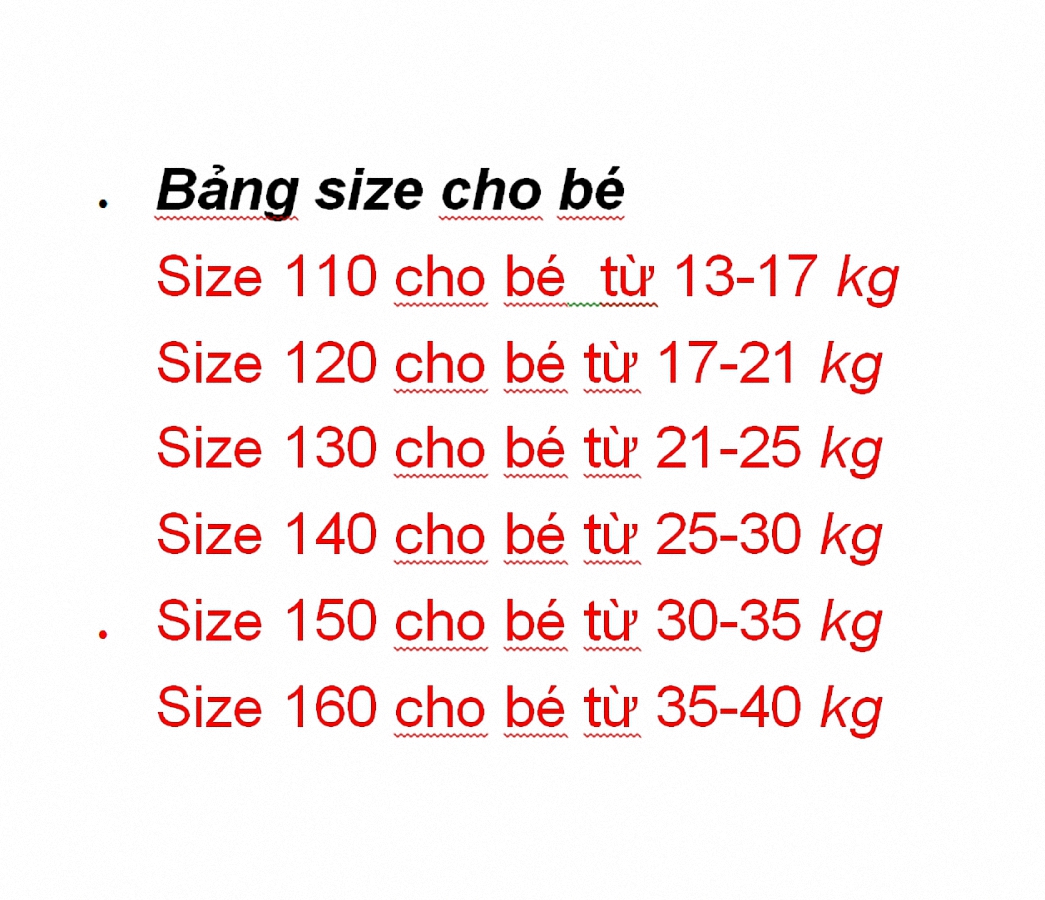 Sét bộ đồ bé trai cao cấp_QN211M