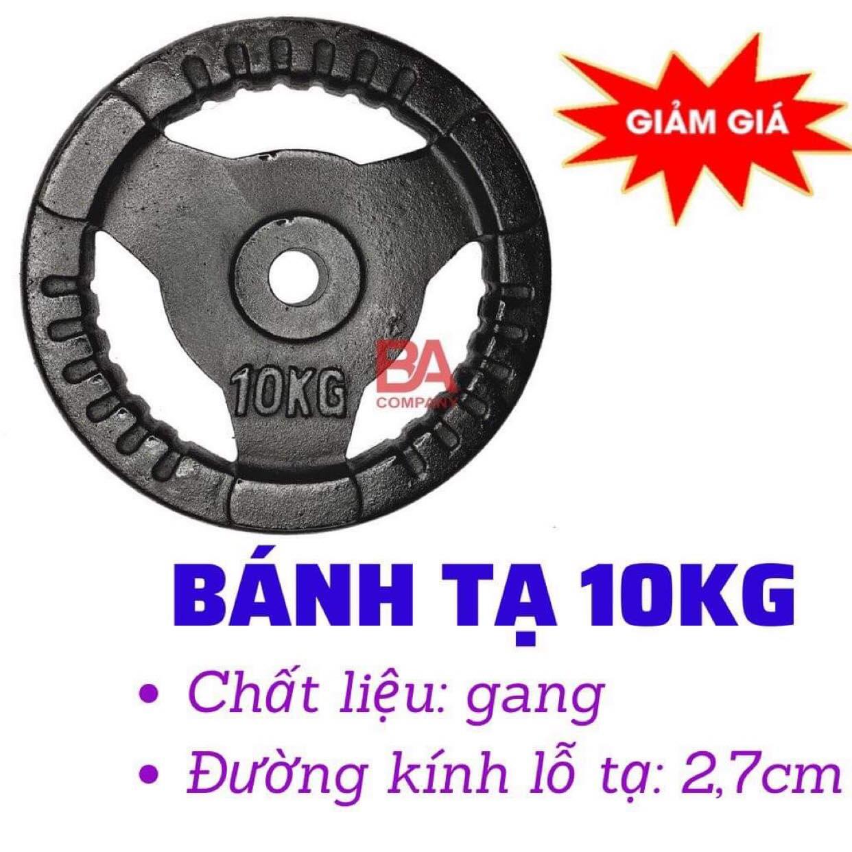 Bộ 2 Tạ Miếng Gang 10Kg