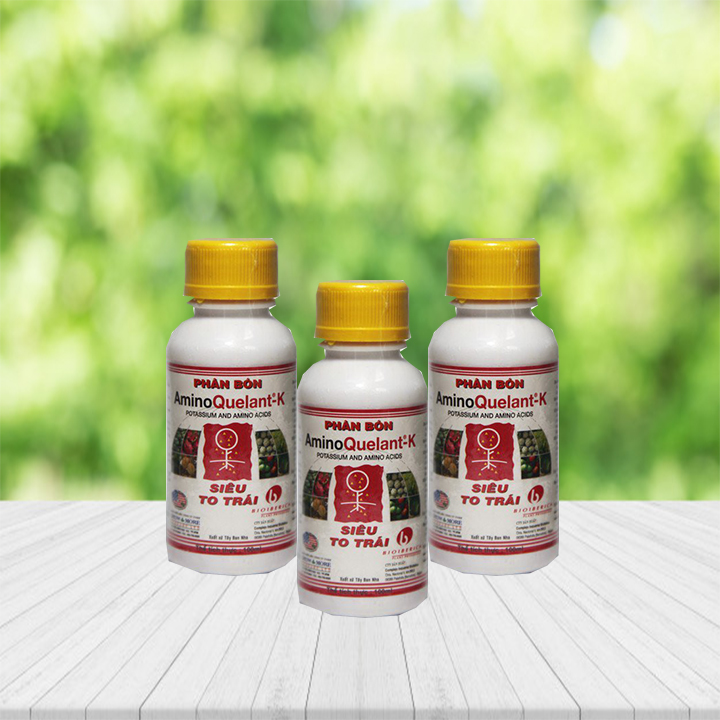 Combo 3 chai Phân bón Amino Quelant-K giúp bông lớn, màu đẹp, trái ngọt - Phân bón chuyên dùng hoa lan, hoa hồng, bonsai, cây ăn trái