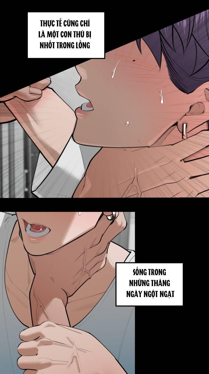 lặng lẽ ngắm nhìn em chapter 0 11