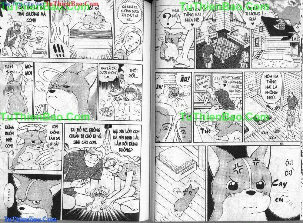 chó con mo mo chapter 4 34