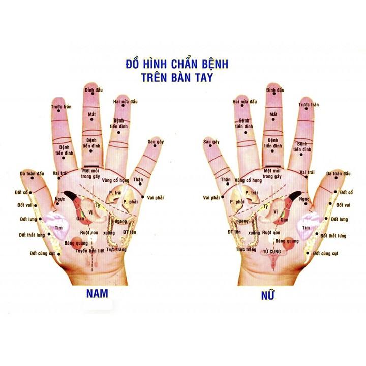 COMBO 2 quả bi lăn tay Gỗ Cẩm Lai 5cm (MH882) Mát xa giúp dẻo tay, thư giãn, chống mỏi toàn diện – Chăm sóc sức khỏe