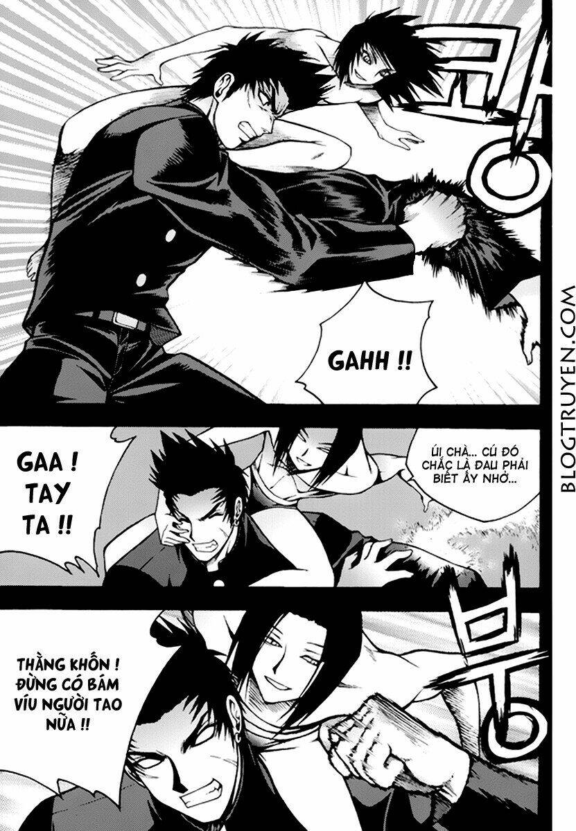 zippy ziggy chapter 57 12