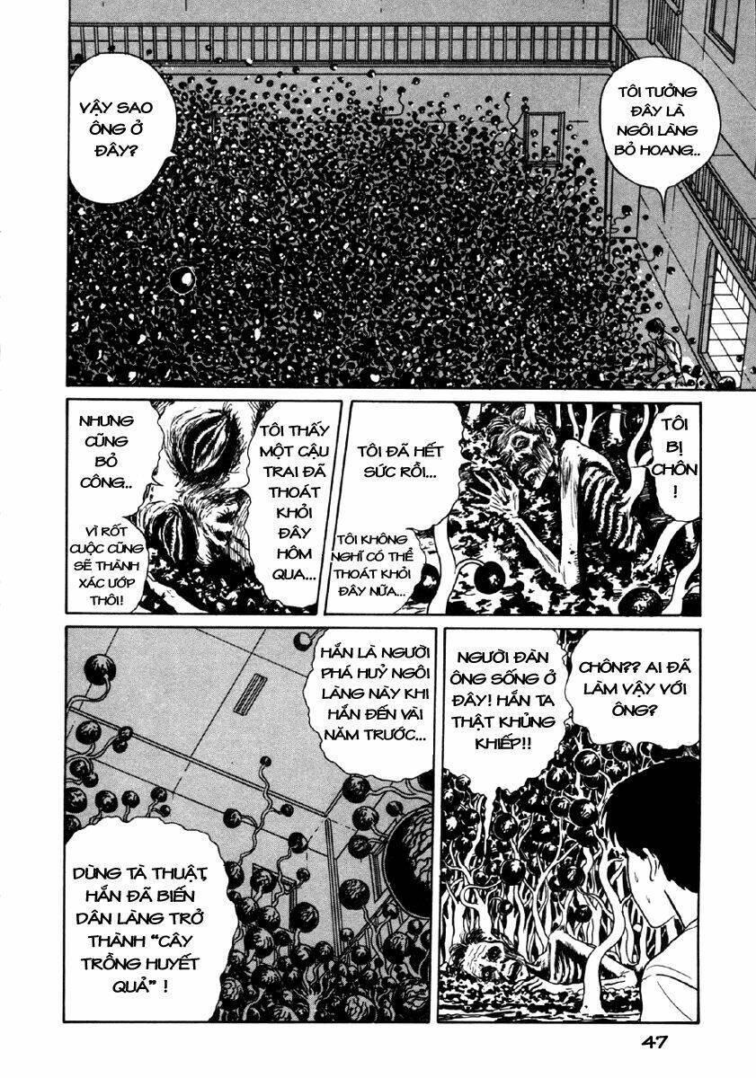 tuyển tập truyện ngắn kinh dị của ito junji chapter 8.1 46