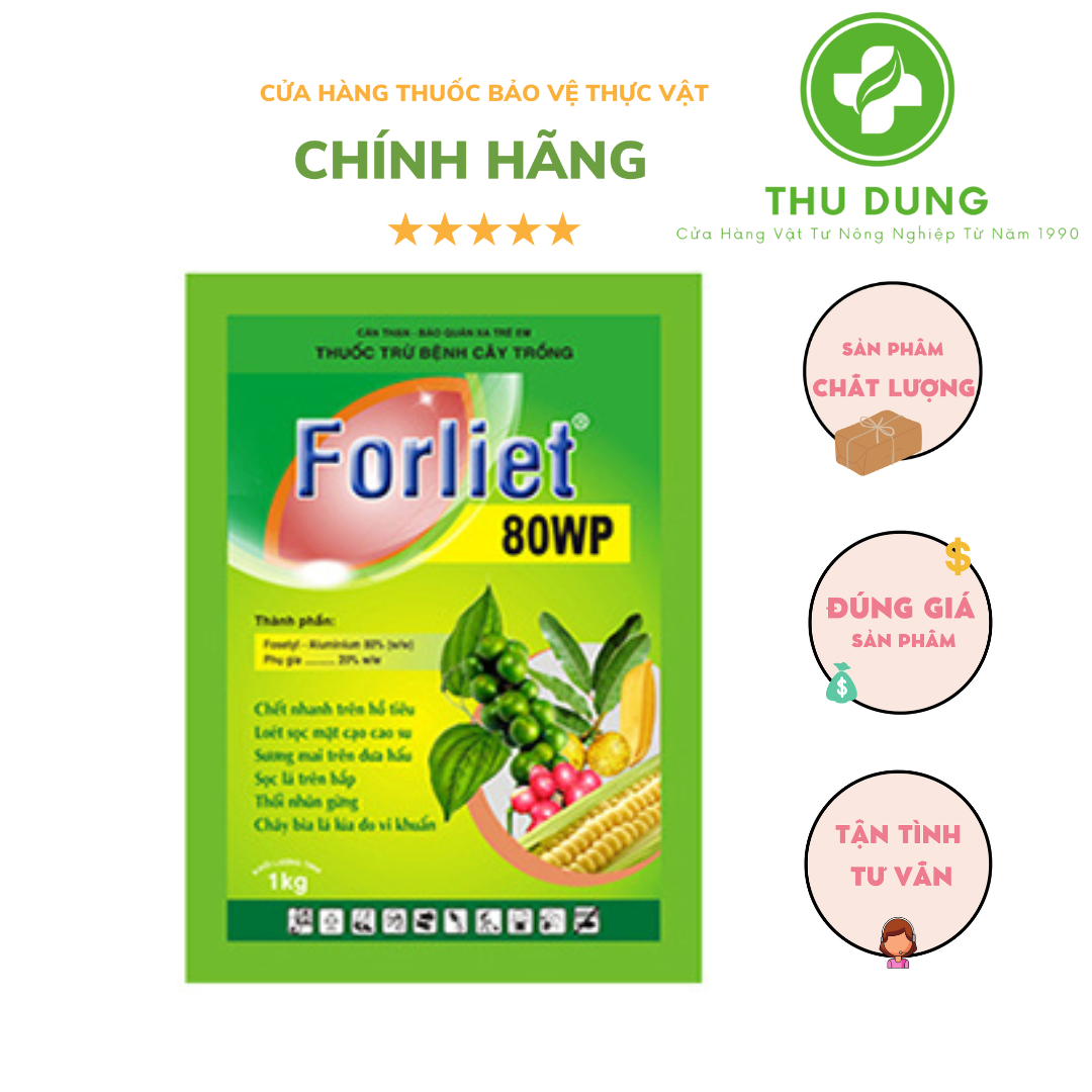 THUỐC TRỪ BỆNH FORLIET 80WP 100G LOÉT SỌC, SƯƠNG MAI, THỐI NHŨNG, CHÁY BÌA LÁ,...