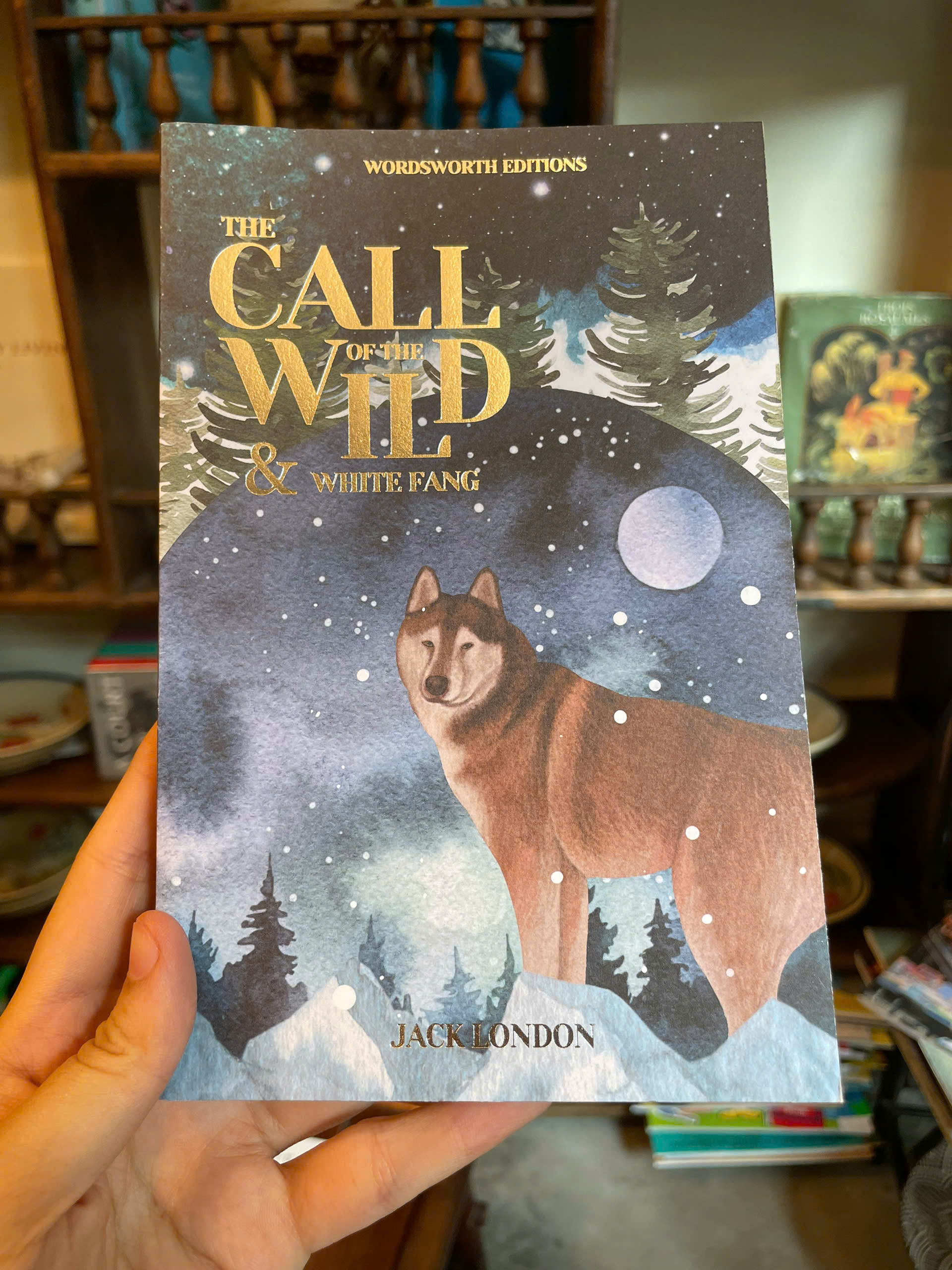 Sách - The Call of the Wild &amp; White Fang by Jack London | Classic Novel / Ngoại văn Kinh điển