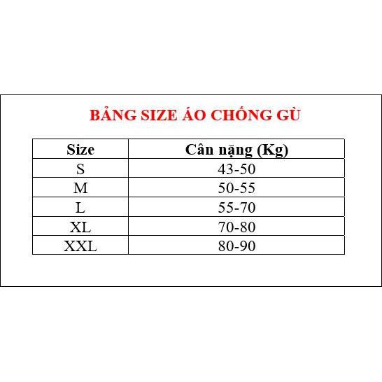 Áo Chống Gù Lưng Hàng Chuẩn Giúp Cải Thiện Vóc Dáng - L