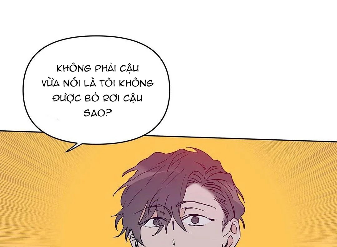 guide cấp b chapter 19 11