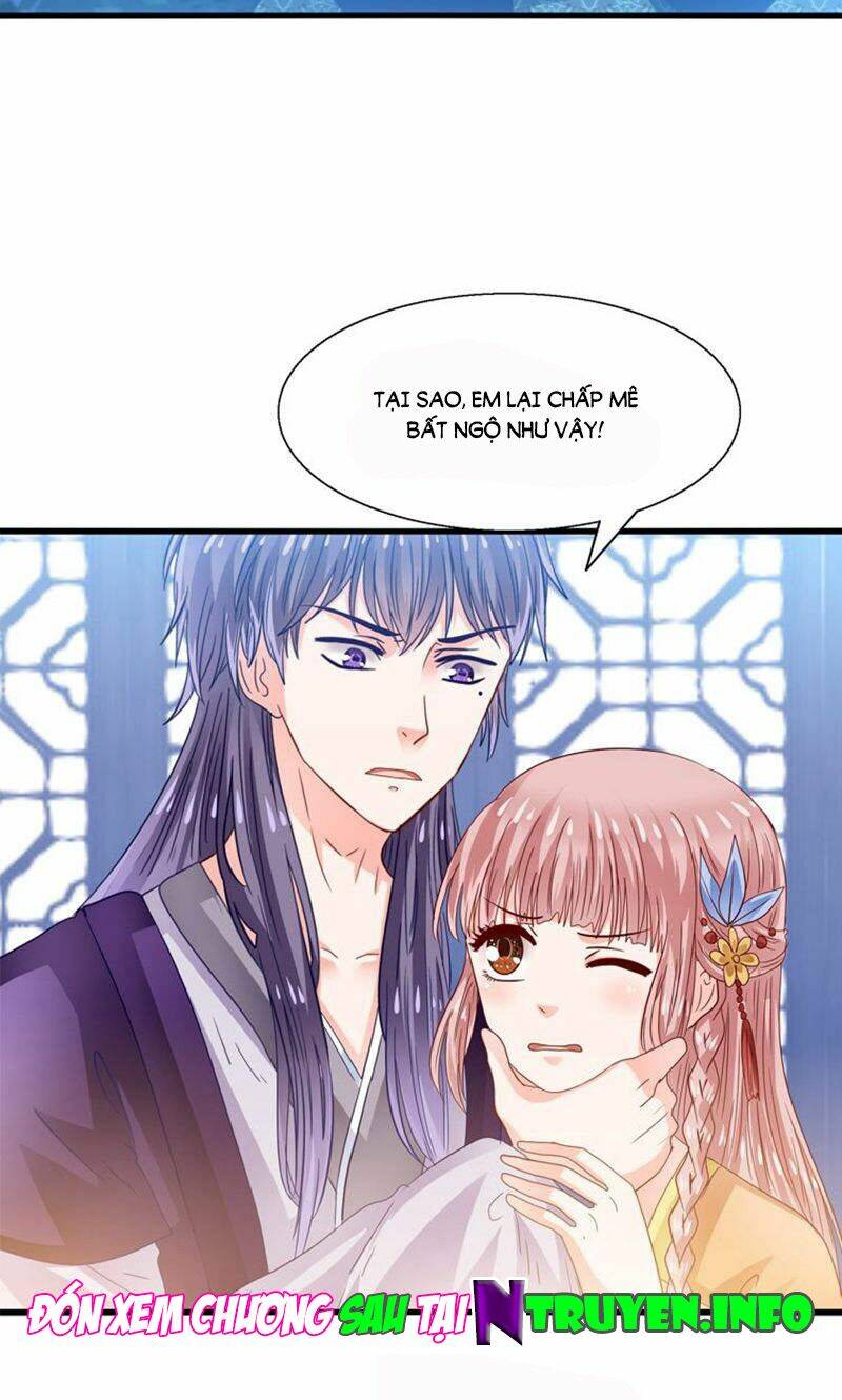 tôi bị gấu trúc nhìn trúng rồi chapter 24 28