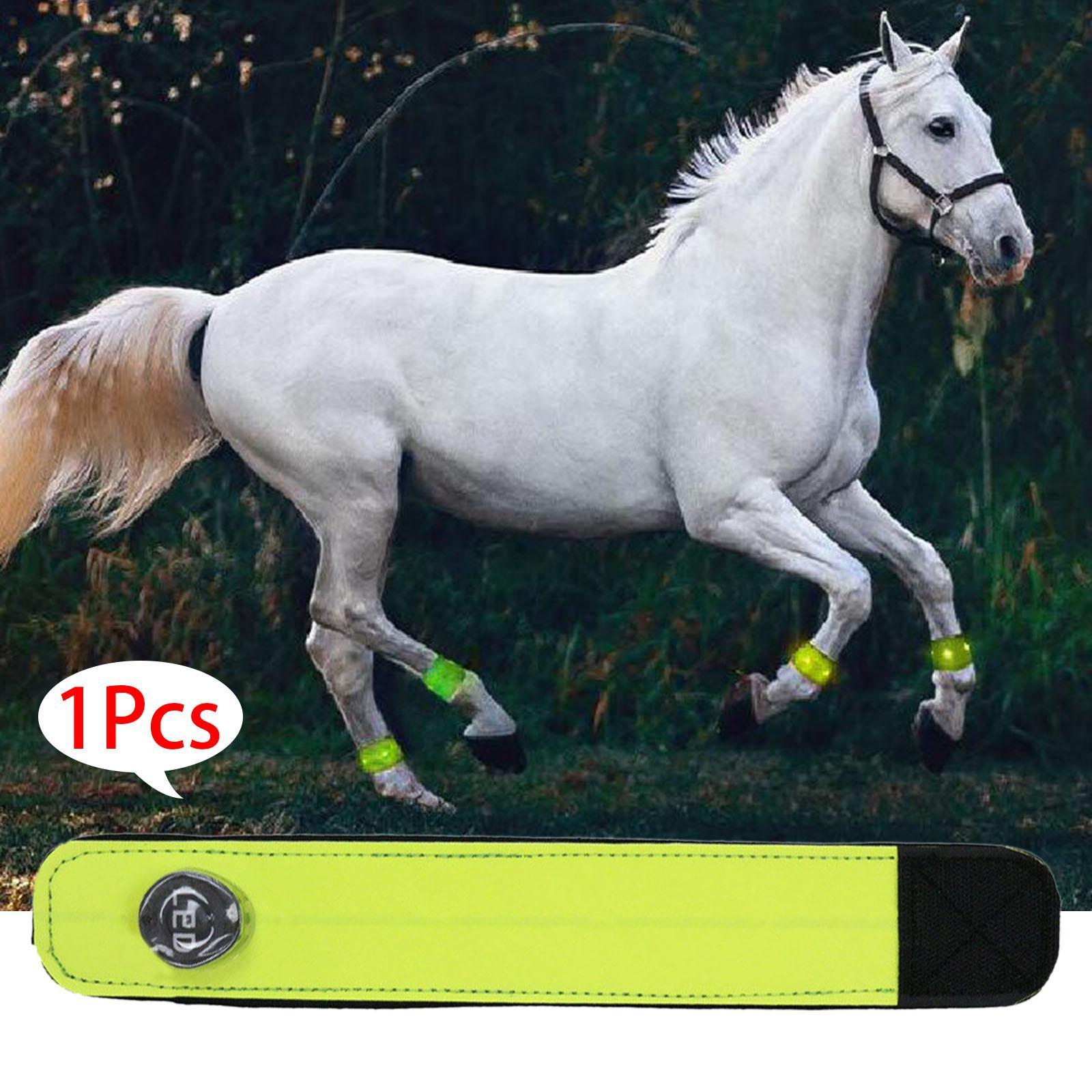 Neoprene LED Horse Ankle Strap Luminous Leg Protection Belt for Night Riding