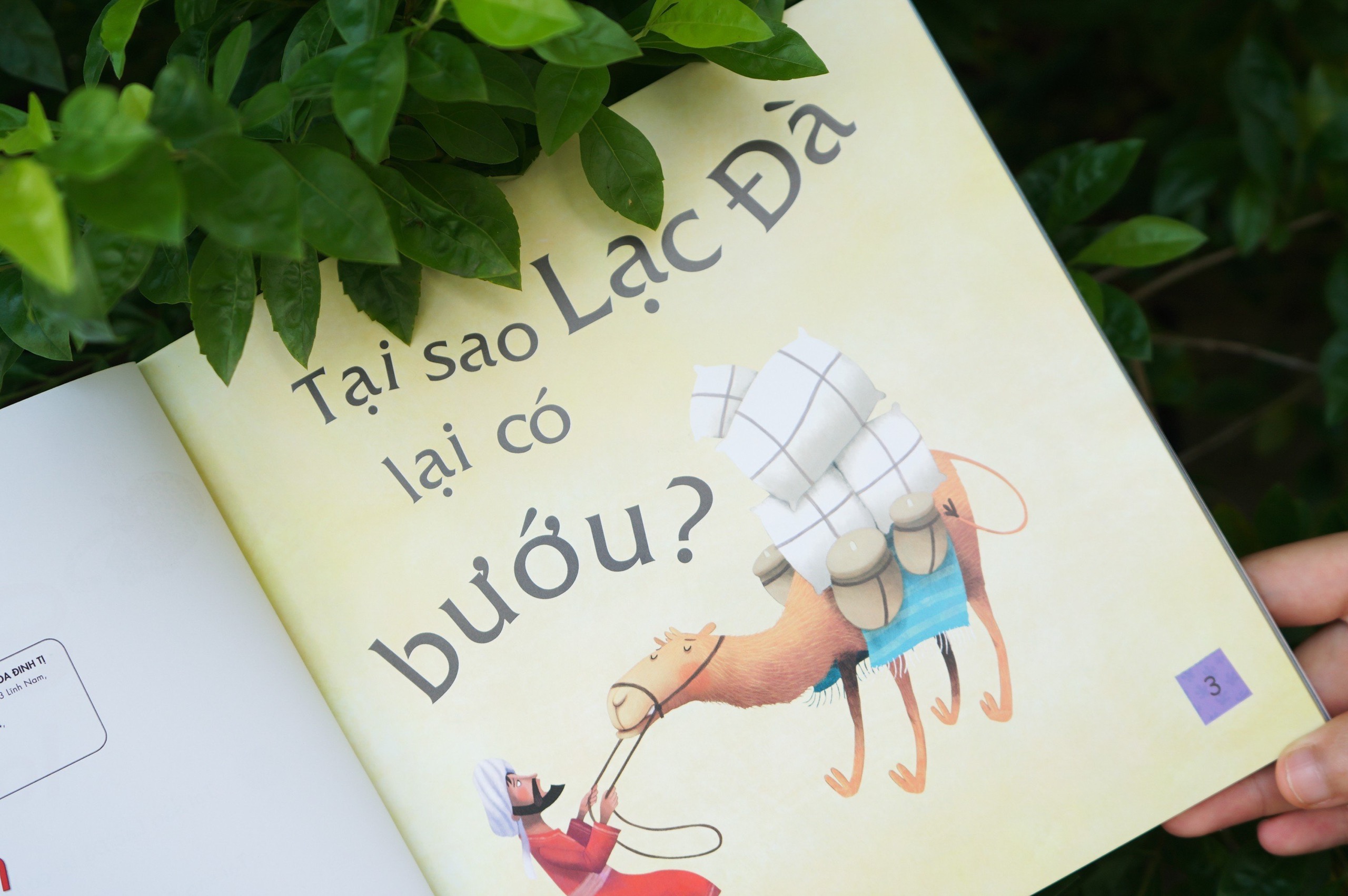 Sách thiếu nhi - Truyện kể mỗi ngày cho trẻ 3 - 9 tuổi - Sự tích các loài vật - Đinh Tị Books