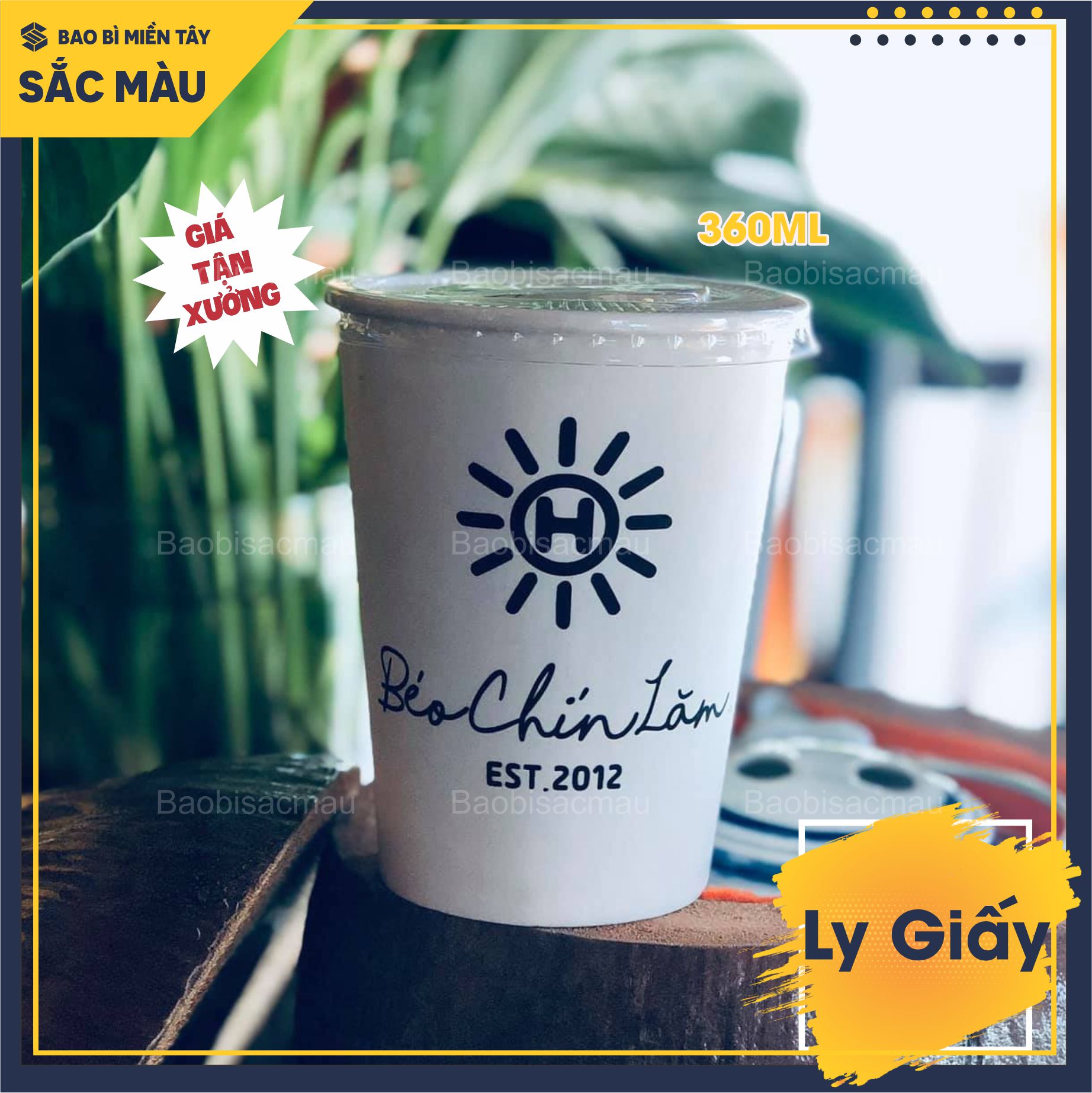 Sỉ 50 cốc giấy/ ly giấy trơn dung tích 360ML, 480ML và 660ML