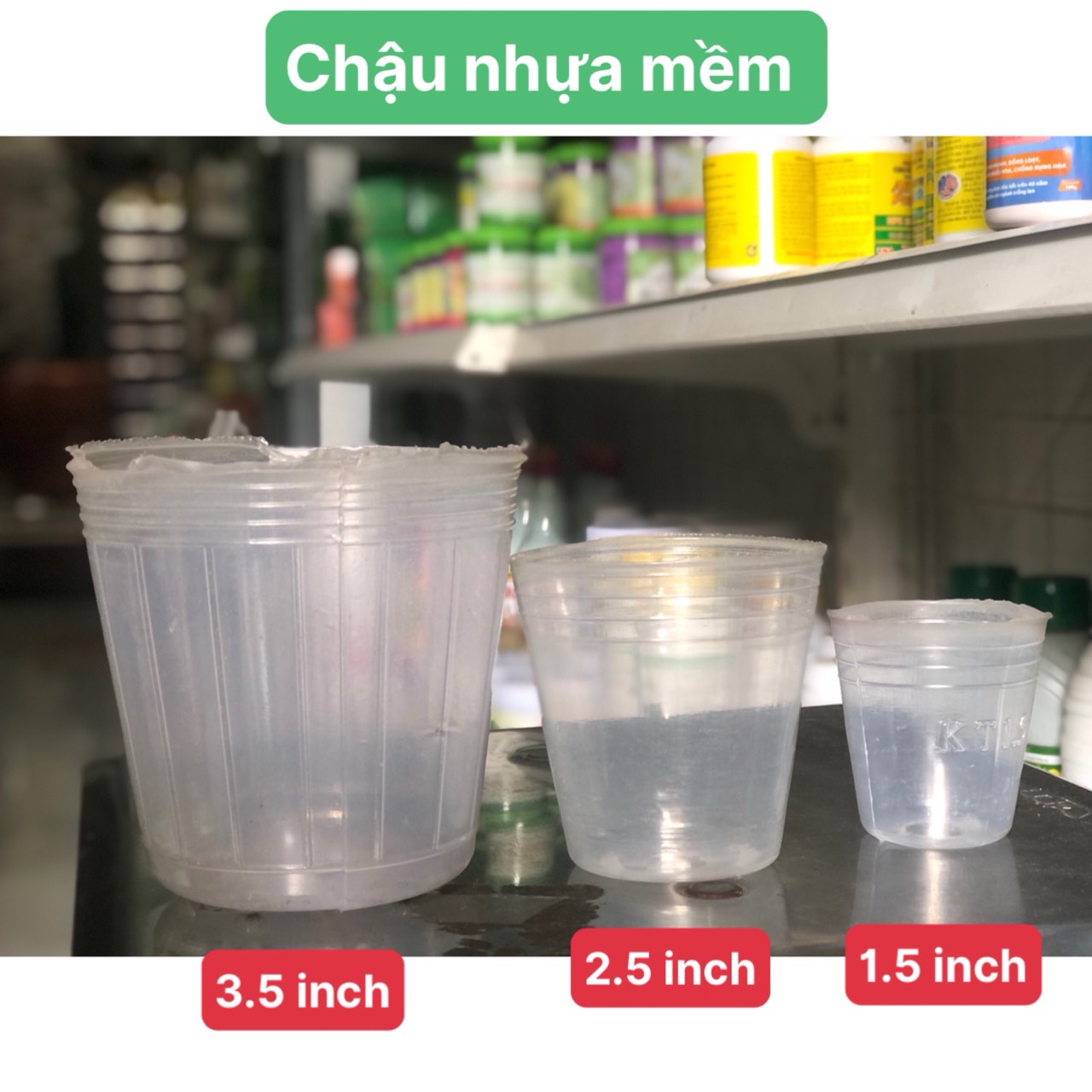 Chậu mềm ươm cây trồng lan hồ điệp