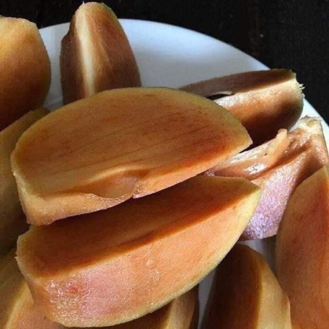 Cây giống hồng xiêm xoài