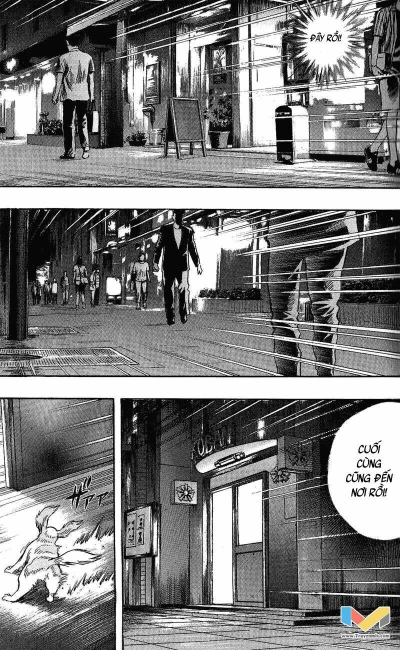 animal sense chapter 7 6