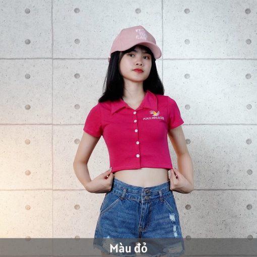 Áo Croptop Polo Kiểu Thêu Hoa Cúc CT15