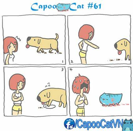 capoo cat chapter 7 1