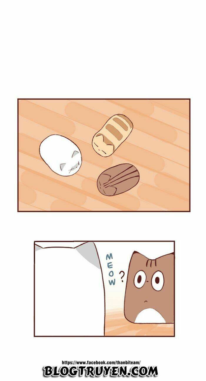 saphie: chú mèo một mắt chapter 2 2