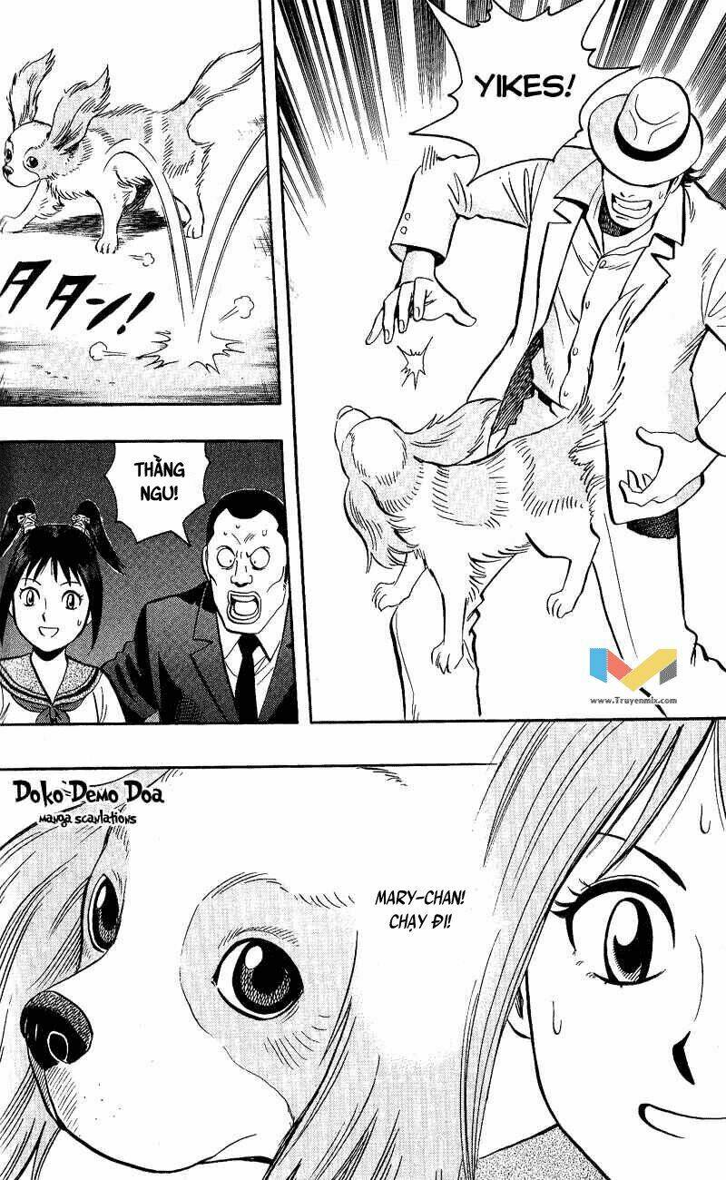 animal sense chapter 6 27