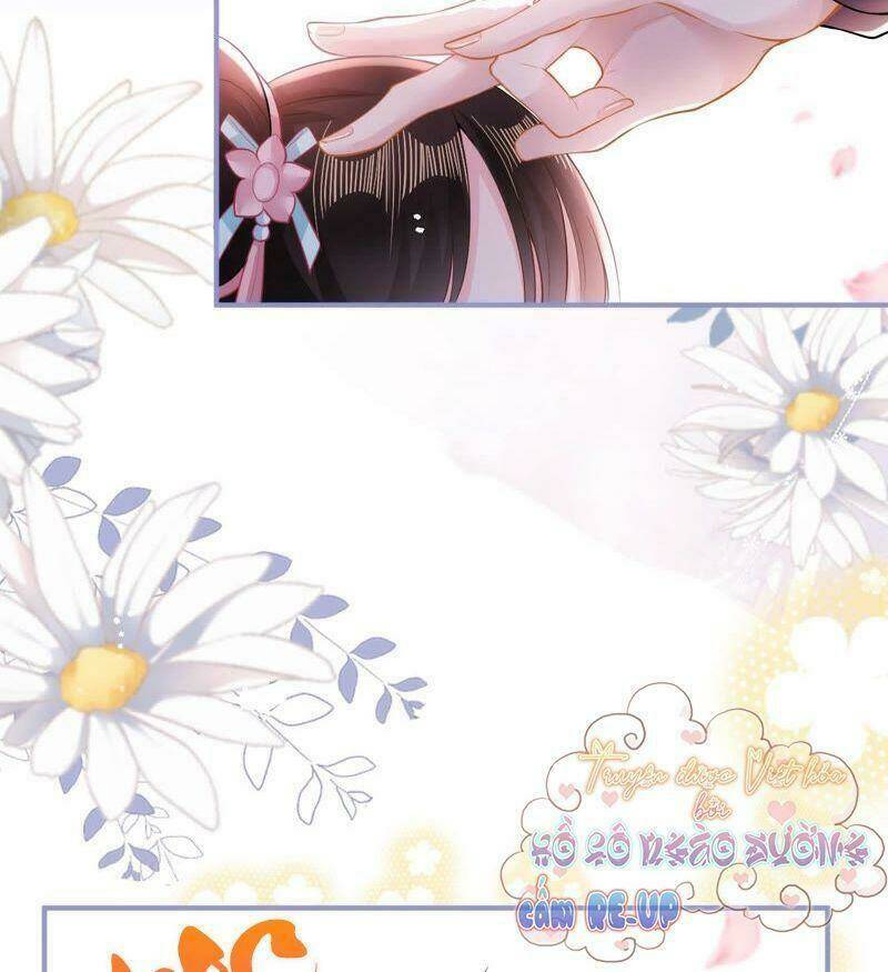 quận chúa vững vàng, thiết lập nhân vật không thể vỡ chapter 22 28