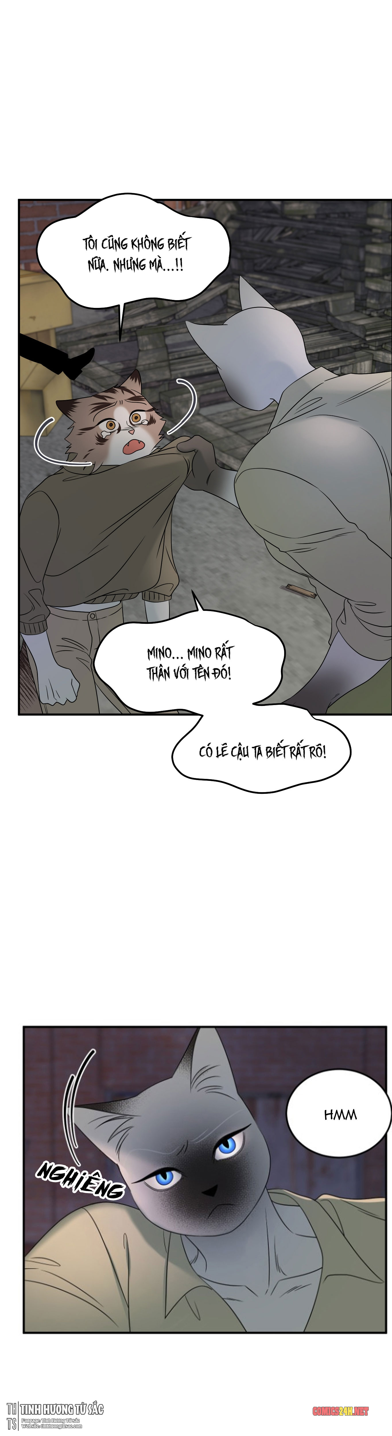 dự án xanh chapter 15 10