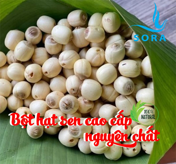 Sora Bột hạt sen cao cấp nguyên chất