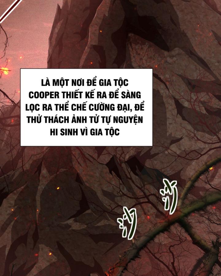 sự phản bội của cái bóng gia tộc chapter 3 34