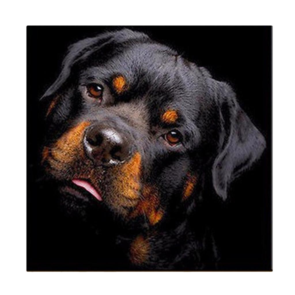 DIY Diamond Painting Kit Full Black Dog 5D Rhinestone Embroidery Home Decor